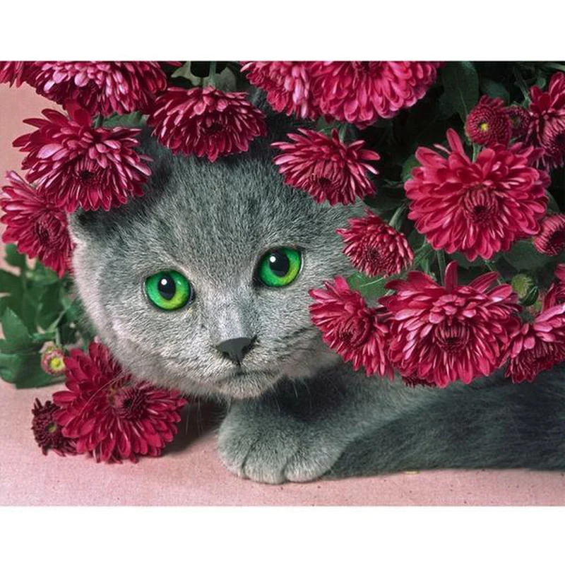 Katt med blommor - Bild 2