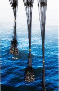Tafsar i set 72st i olika längder 15cm/20cm/30cm