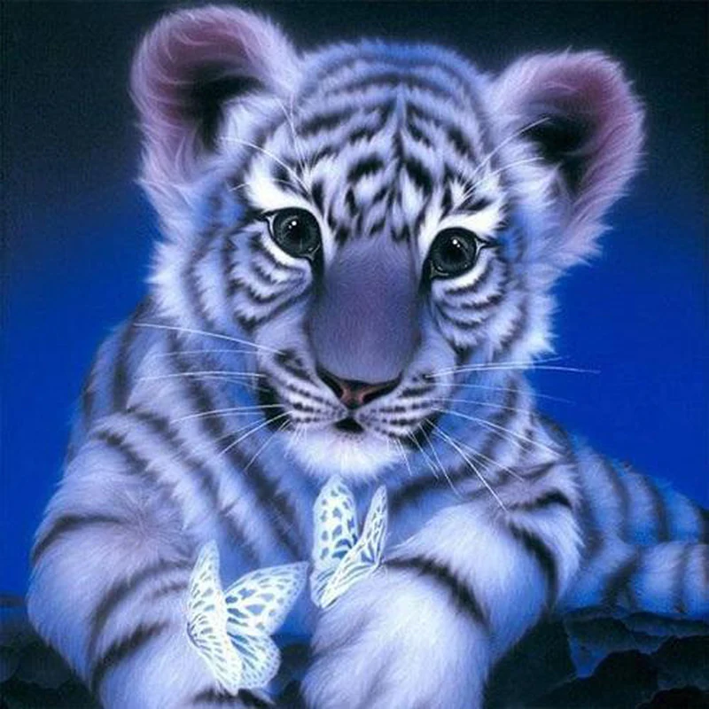 Tigerunge - Bild 2